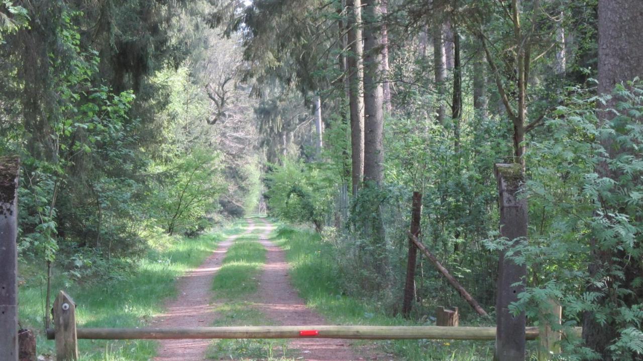 FeWo-Filter-Mölln Exteriör bild